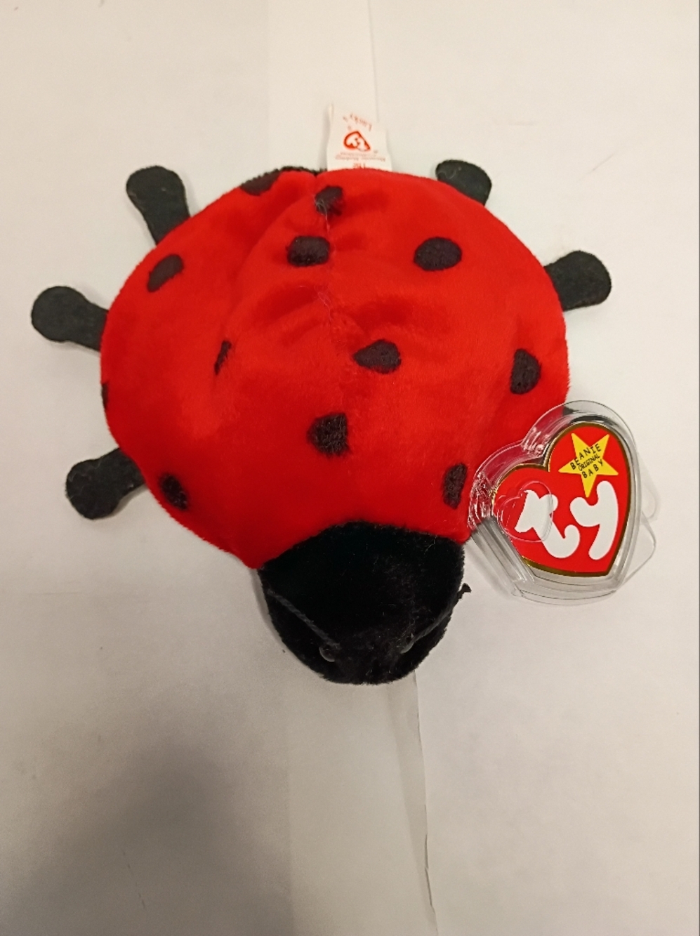 Ty Red and Black Ladybug Plush Toy